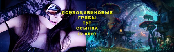бошки Гусиноозёрск
